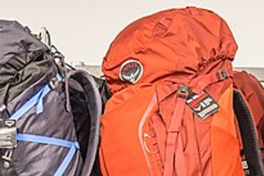 Backpacks lined up ready for travel