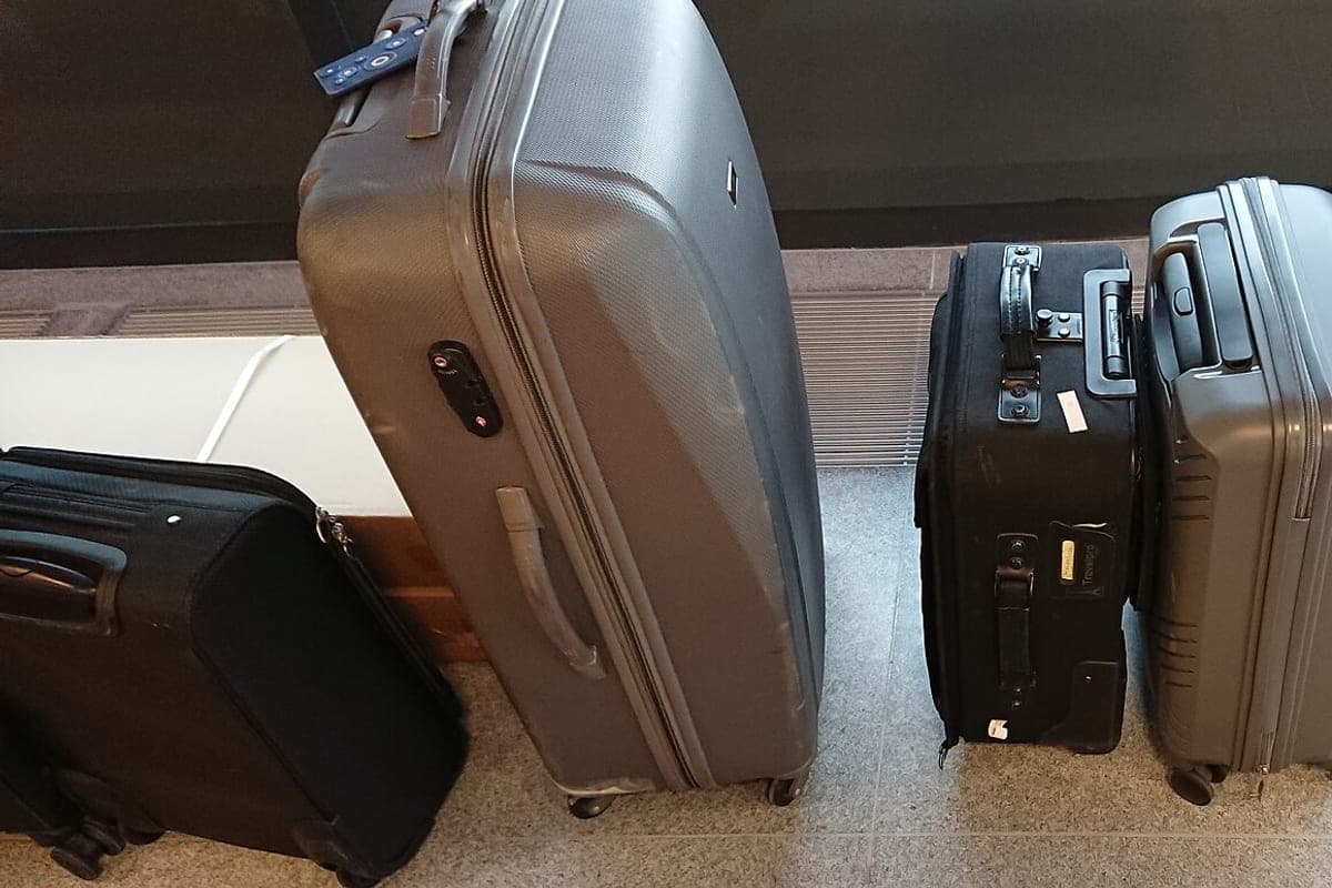 Two wheeled suitcases standing side by side